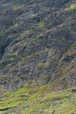 Güneşli bir yaz gününde mavi gökyüzünün altında Norveç kırsalında dev bir kaya..