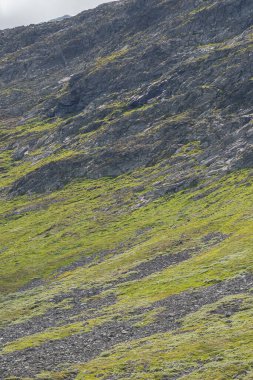 Güneşli bir yaz gününde mavi gökyüzünün altında Norveç kırsalında dev bir kaya..