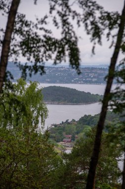 Oslo, Norveç - 10 Temmuz 2023: Ekrberg Parken tepesinden Oslo şehir merkezi