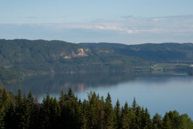 Oslo, Norveç - 10 Temmuz 2023: Ekrberg Parken tepesinden Oslo şehir merkezi