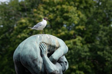 Oslo, Norway - July 12, 2023: A seagull sits on a sculpture in Frogner Park, a sculpture by Gustav Vigeland. A public park in the Norwegian capital. clipart