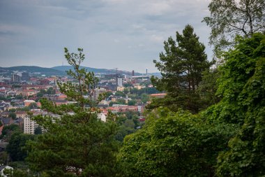 Oslo, Norveç - 10 Temmuz 2023: Ekrberg Parken tepesinden Oslo şehir merkezi