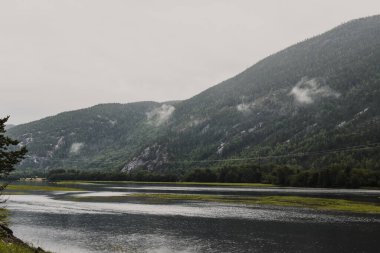 Yeşil kozalaklı ağaçlarla kaplı güzel Norveç dağ fiyortları ve sisli bir sonbahar gününde ön planda bir nehir..