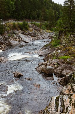Dağlardaki bir otoyolun yanında, dalgalar ve şelalelerle kayalık bir virajdaki Norveç dağ nehrinin güzel manzarası. Kıyılarda yeşil kozalaklı ağaçlar.