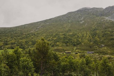 Dağın eteğinde yeşil ağaçlar ve ahşap evler ve sisli bir sonbahar gününde dağın tepesinde kar olan Norveç dağ manzarası..