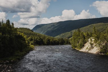Norveç balıkçı nehri Hallingdalselva 'nın arka planında mavi gökyüzüne karşı yeşil orman var