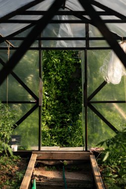 İçinde ahşap bir yapı, film ve yeşil bitkiler olan kır serası. Yaz günbatımı filmi aydınlatır..