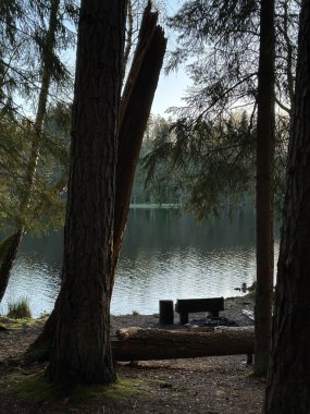 Ormanda bir kamp yeri ve ahşap bir bank olan göl kıyısında dinlenme yeri..