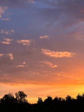 Gün batımının ağaçların gövdesinden parladığı ormandaki yeşil yosunlara doğru parladığı güzel doğal manzara..
