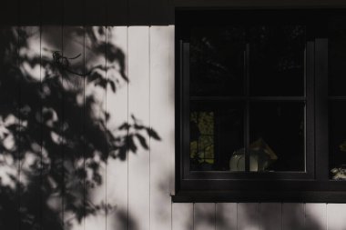 Kurutucudaki beyaz tabakların görülebildiği siyah kareli ahşap pencereli beyaz ahşap bir evin ön cephesi. Beyaz tahta duvardaki ağaç dallarının gölgeleri..