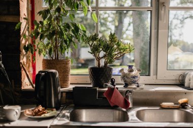 Yanında çiçek saksılarında çiçekler, bulaşık deterjanı ve siyah bir çaydanlık olan bir çiftlik evi mutfağı manzarası..