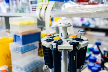 Prag, Çek Cumhuriyeti - 8 Kasım 2024: Modern Araştırma Laboratuvarında Dönen Duruşta Hassas Mikropipetler