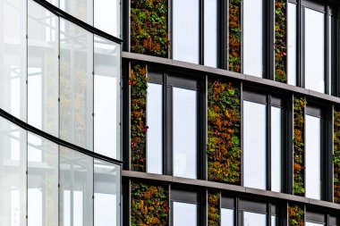 Dikey Bahçeli Yeşil Bina Cephesi ve Sürdürülebilir Mimarlık İçin Büyük Cam Pencereler