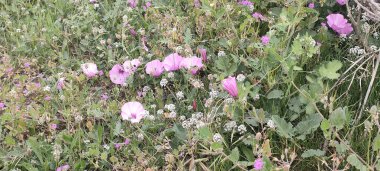 Barselona, Madrid, Toledo şehir ve deniz manzarası 