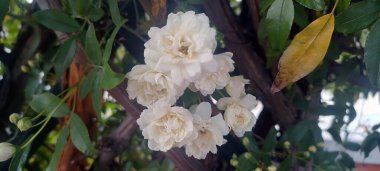 Barselona, Toledo ve Madrid şehir ve deniz manzarası 