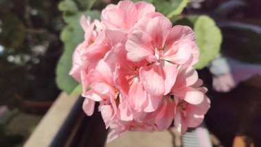 Anadolu, Türkiye 'de gezici panoramik görüntüler 