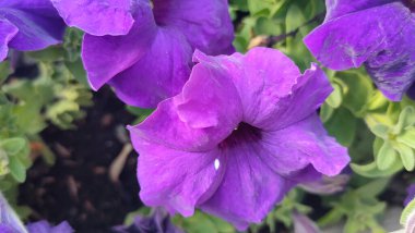 Anadolu, Türkiye 'de gezici panoramik görüntüler 