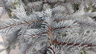 Anadolu, Türkiye 'de gezici panoramik görüntüler 