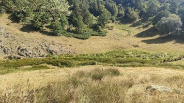 Anadolu 'da panoramik manzara doğa bitkileri şehir görünümünü kapatır