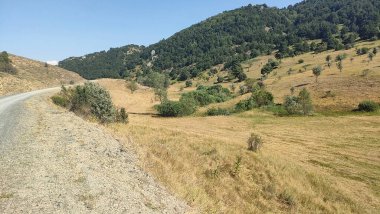 Anadolu 'da panoramik manzara doğa bitkileri şehir görünümünü kapatır