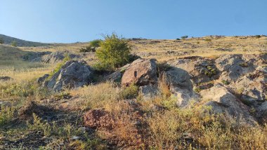 Anadolu 'da panoramik manzara doğa bitkileri şehir görünümünü kapatır