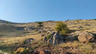 Anadolu 'da panoramik manzara doğa bitkileri şehir görünümünü kapatır