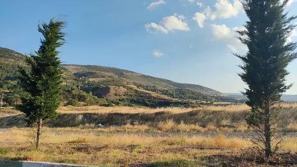 Anadolu 'da panoramik manzara doğa bitkileri şehir görünümünü kapatır