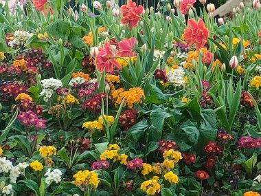 Paris şehir manzarası, manzarası, bahçeleri ve insanları. 