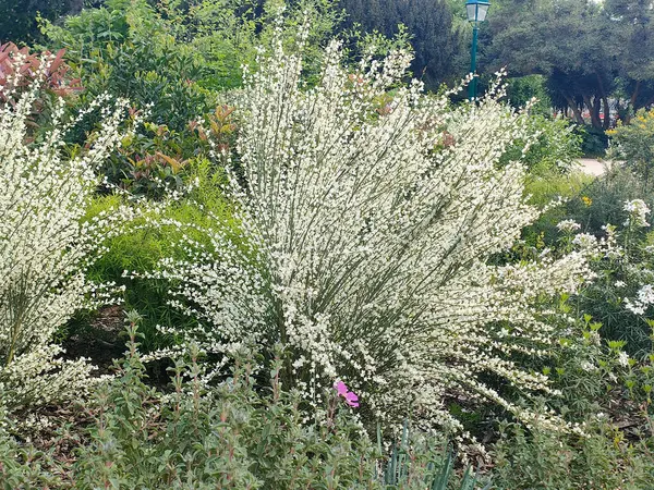 Paris şehir manzarası, manzarası, bahçeleri ve insanları. 
