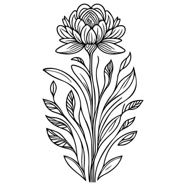 süslü karalama çizimi sanat yeni çiçek illüstrasyon çizim çizim ögesi