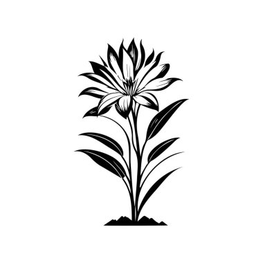 Afrika zambak ikonu eli siyah bitki logo vektör elementi ve sembol çizer