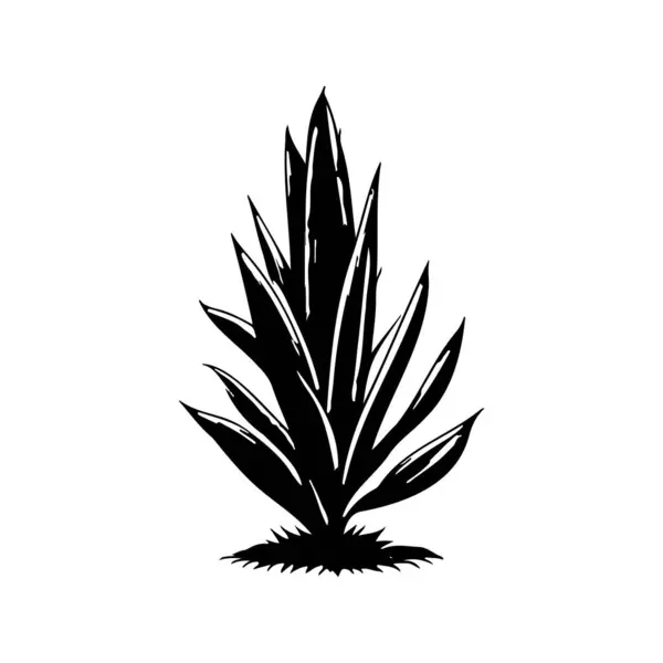 Agave Icon Ruka Kreslit Černý Rostlinný Logo Vektorový Prvek Symbol Vektorová Grafika