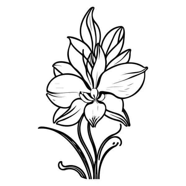 stock vector outline doodle orchid flower leaf illustration sketch element black