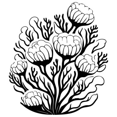 Çiçekli okyanus mercanı kabarcık ucu Anemone illüstrasyon çizim elementi