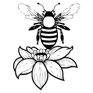 Çiçek baharı illüstrasyonuna arı çizimi el çizimi ögesi