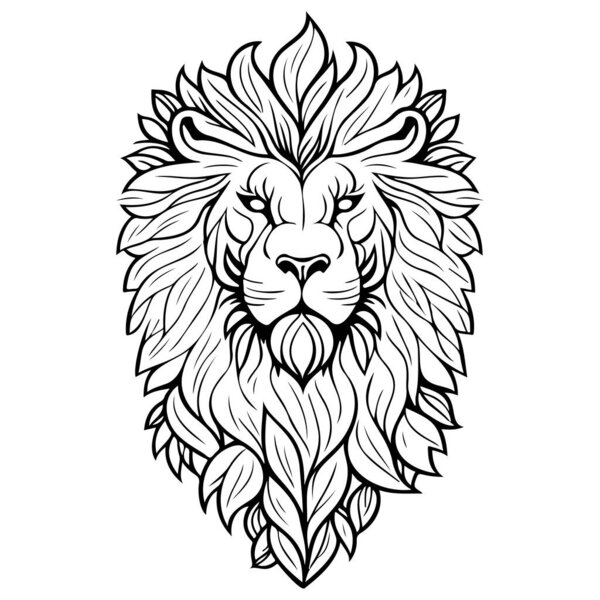 animal lion brave scary angry illustration sketch hand draw element