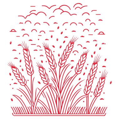 Kızıl tarım, bahar mısır gevreği örnekleme elementi