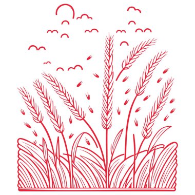 Kızıl tarım, bahar mısır gevreği örnekleme elementi