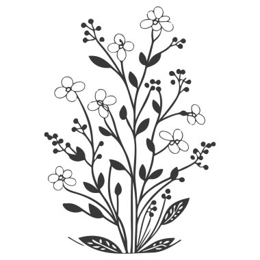 Böğürtlen çiçeği çizimi gri