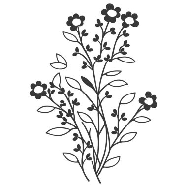 Böğürtlen çiçeği çizimi gri