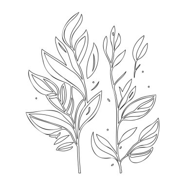 parallel leaf floral outline illustration sketch element clipart