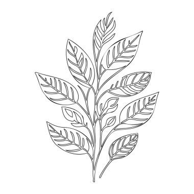 parallel leaf floral outline illustration sketch element clipart