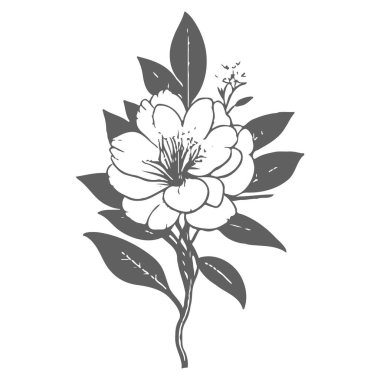 Açelya çiçeği çizim elementi gri