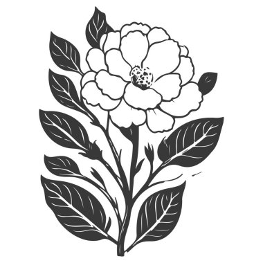 primrose flower illustration sketch element grey clipart