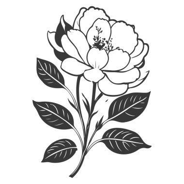 Primrose çiçek çizimi çizim elementi gri