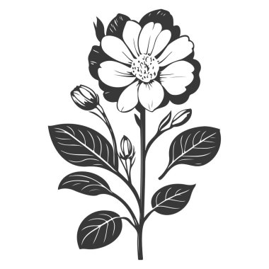 primrose flower illustration sketch element grey clipart