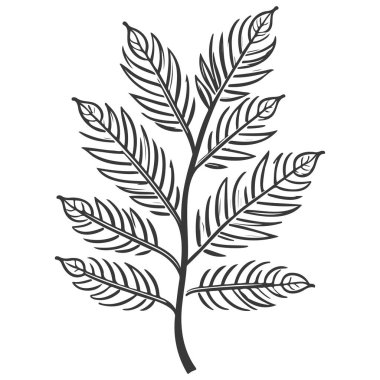 Kestane yaprağı bitkisi çiçek çizimi çizim elementi gri