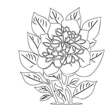 Hydrangea flower plant illustration sketch outline element clipart