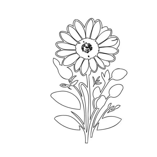 stock vector Daisy flower plant illustration sketch outline element