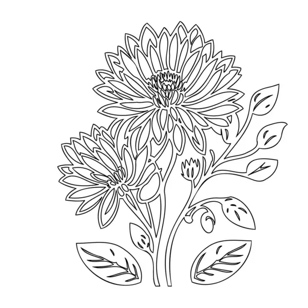 stock vector Chrysanthemum flower plant illustration sketch outline element